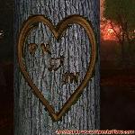 Proof of Love!