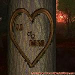 Proof of Love!