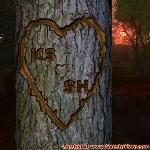Proof of Love!