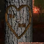 Proof of Love!