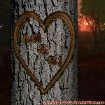 Proof of Love!