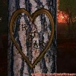 Proof of Love!