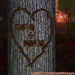 Proof of Love!