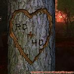 Proof of Love!