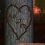 Proof of Love!