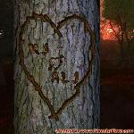Proof of Love!