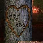 Proof of Love!