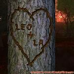 Proof of Love!