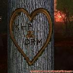 Proof of Love!