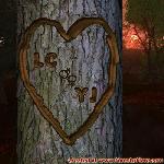 Proof of Love!