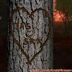Proof of Love!