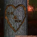 Proof of Love!
