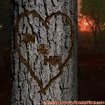 Proof of Love!