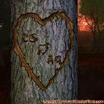 Proof of Love!