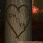 Proof of Love!