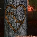 Proof of Love!