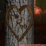 Proof of Love!