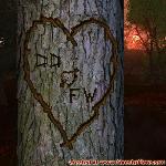 Proof of Love!