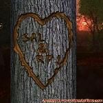 Proof of Love!