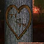 Proof of Love!