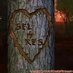 Proof of Love!