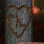 Proof of Love!