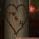 Proof of Love!