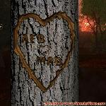Proof of Love!