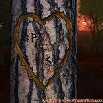 Proof of Love!