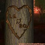 Proof of Love!