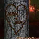 Proof of Love!