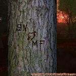 Proof of Love!