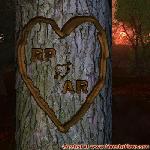 Proof of Love!