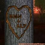 Proof of Love!
