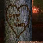Proof of Love!