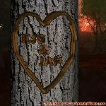 Proof of Love!