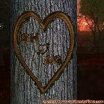 Proof of Love!