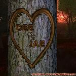 Proof of Love!