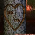 Proof of Love!