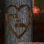 Proof of Love!