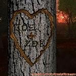Proof of Love!