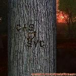 Proof of Love!