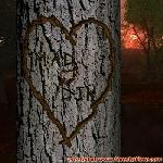 Proof of Love!