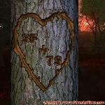 Proof of Love!
