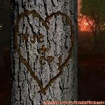 Proof of Love!