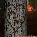 Proof of Love!