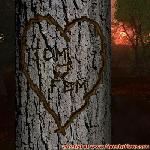 Proof of Love!