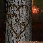 Proof of Love!