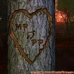 Proof of Love!