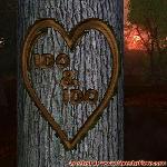 Proof of Love!